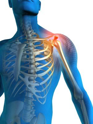 https://www.orthoped.com/3d-images/shoulder-pain.jpg